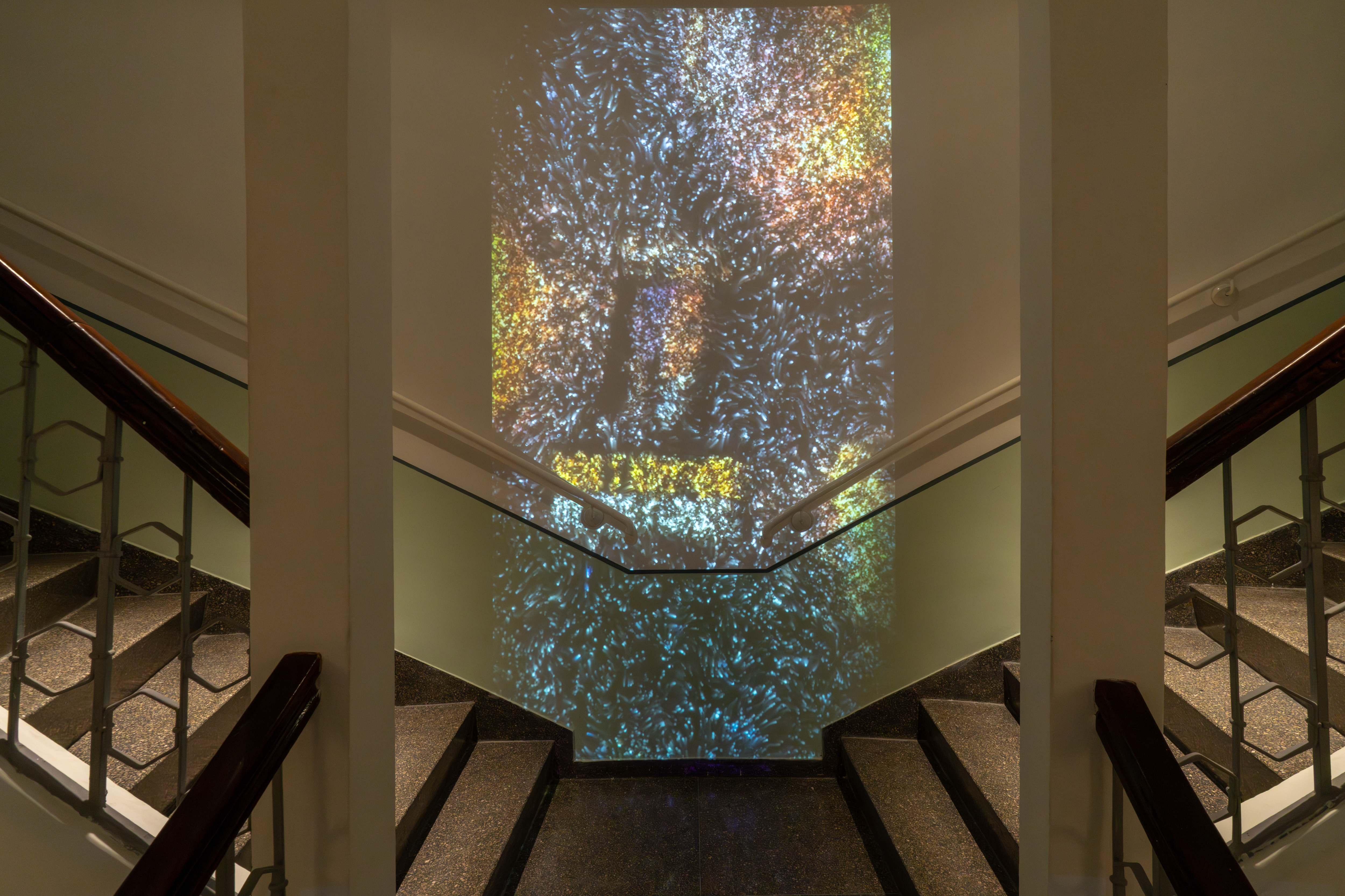 Patterns of Protest documentation