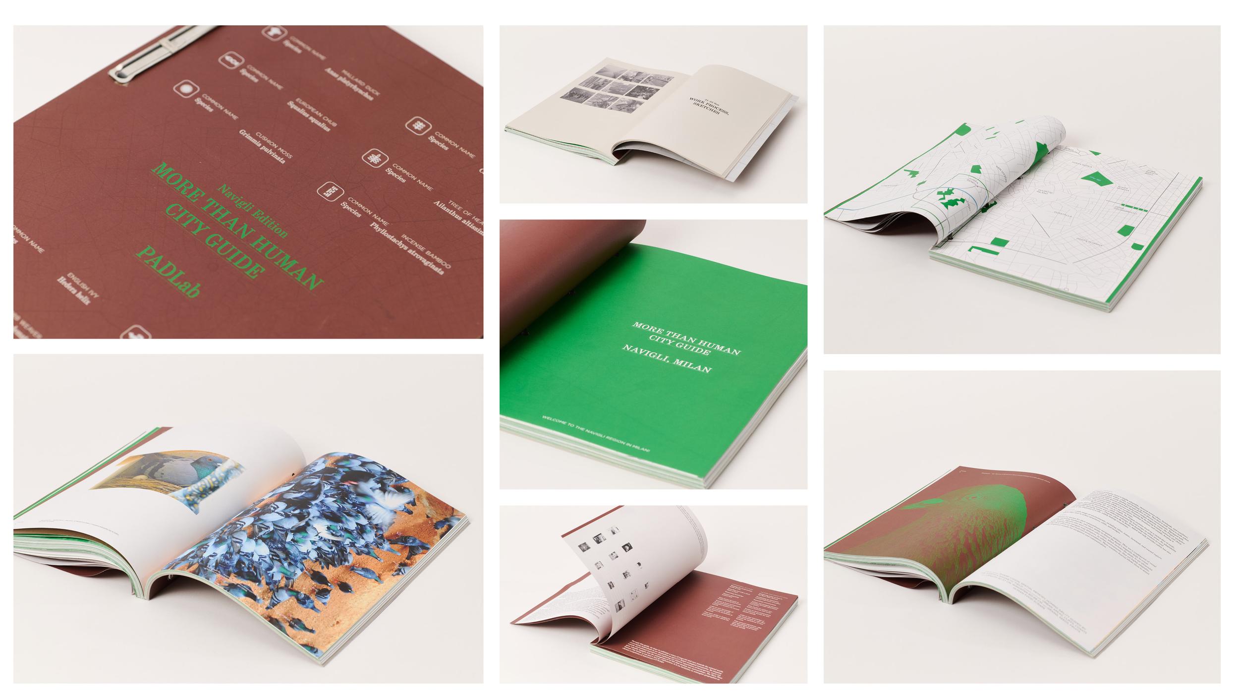 Workshop participants at NABA