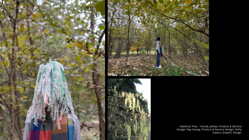 Speculative design outcomes